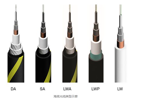 海底光纜到底有多重要