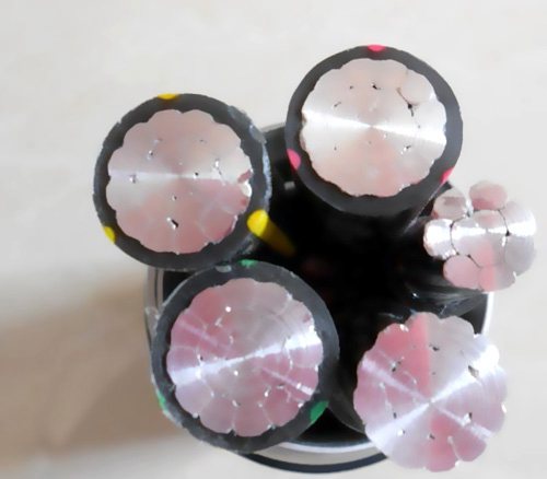 �X�Ͻ���(d��o)�w���~��(d��o)�w��(du��)��