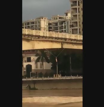 �������ژ��ϵ���|��