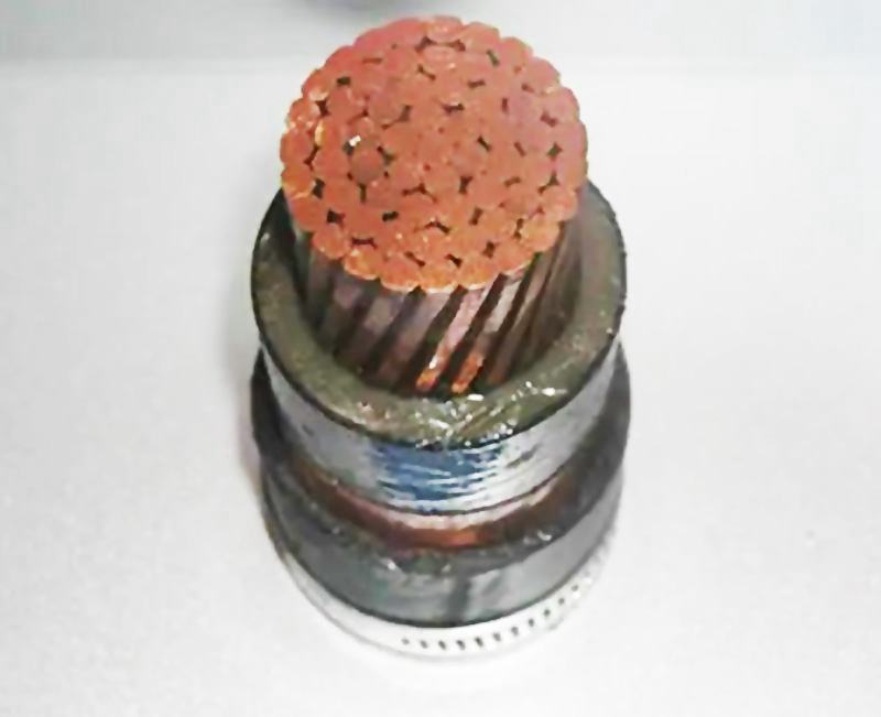 �c�S�����|YJV